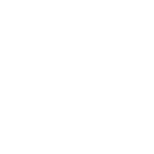 The Burger Coach